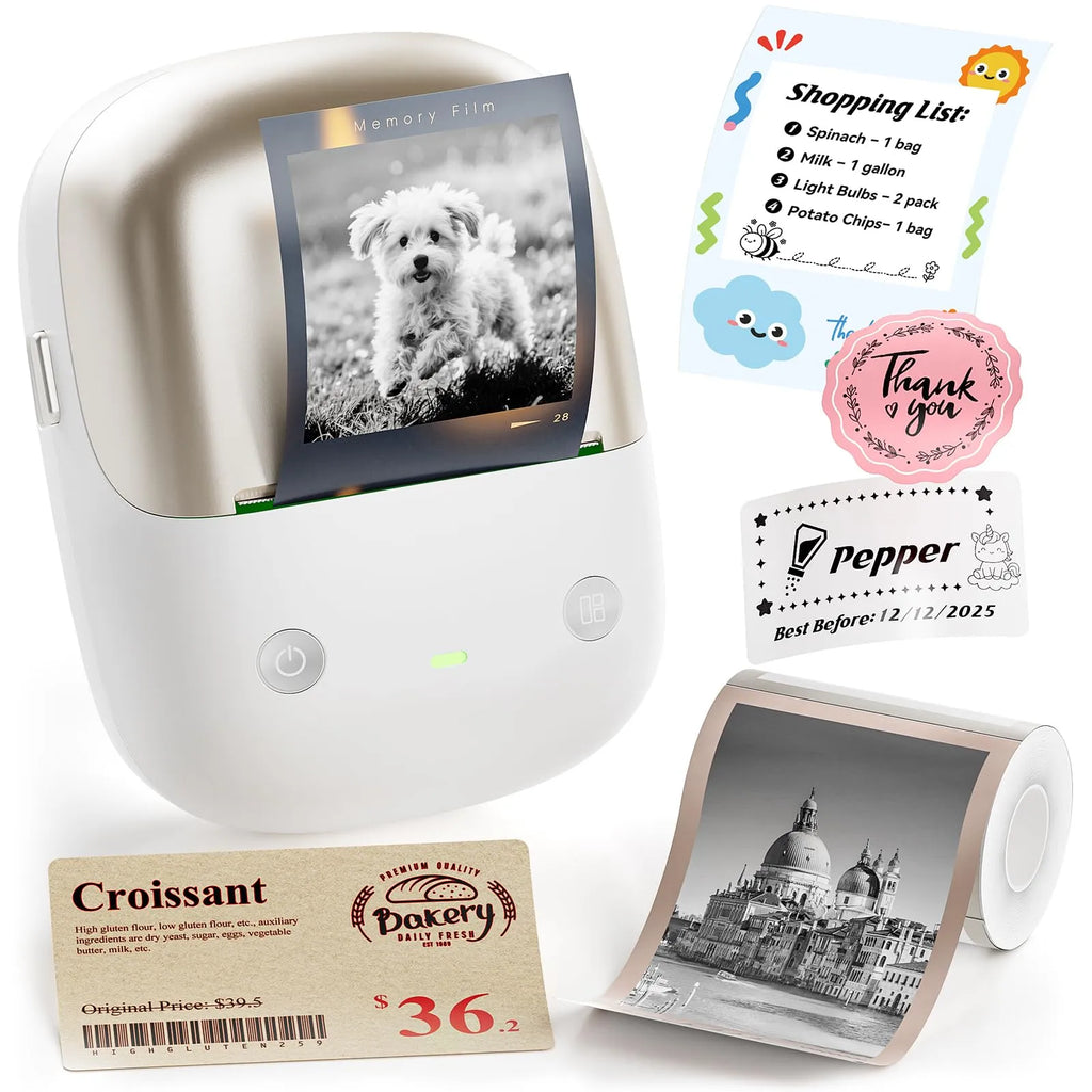 NIIMBOT B2 Pro Etikettendrucker