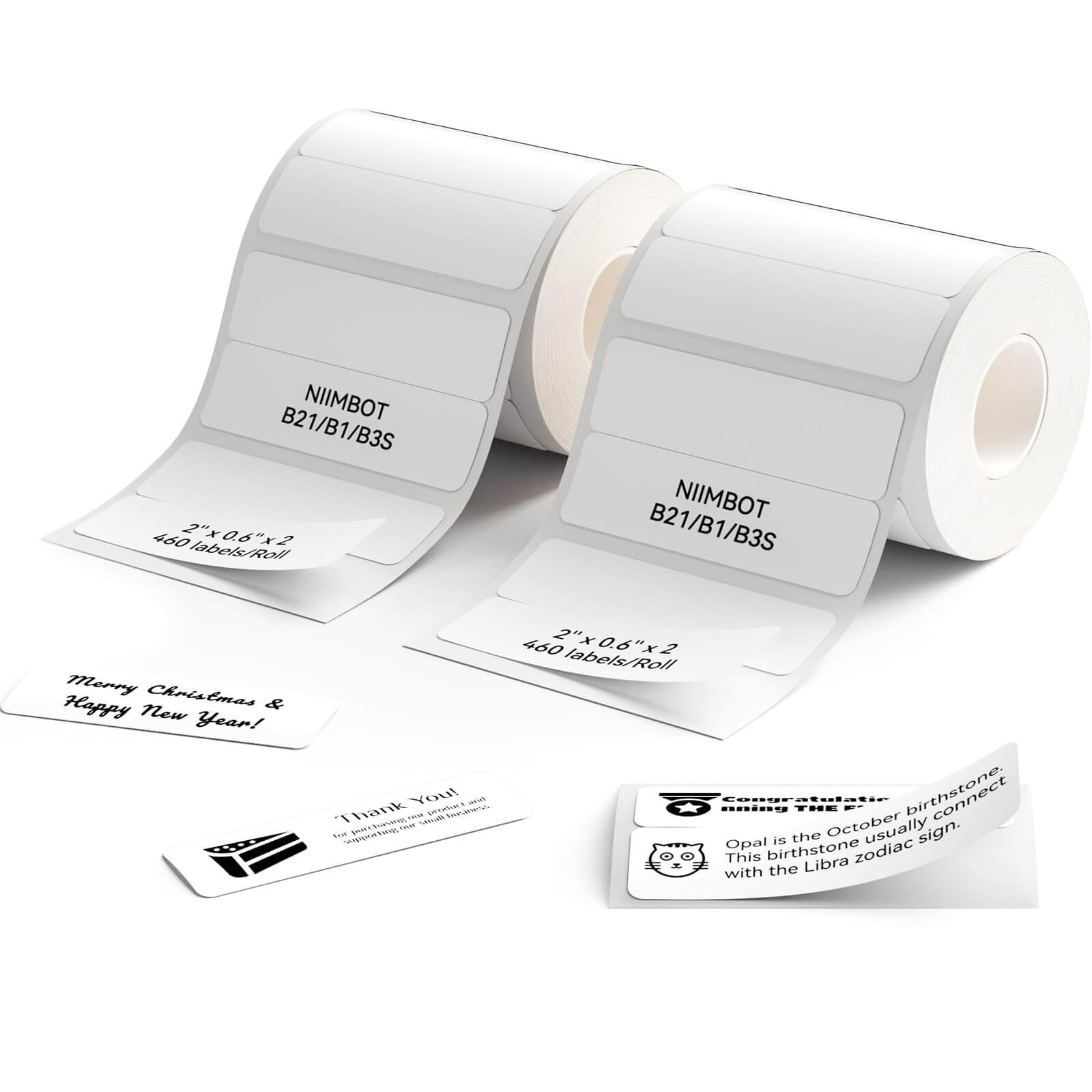 NIIMBOT Etikettenband-Set für B21, B1, B3S, K3, K2